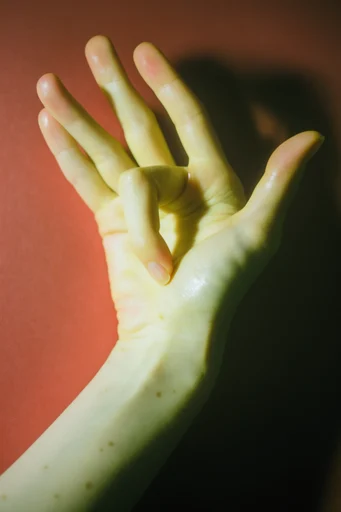 Tactile Sculptural Minimalism style reference image — saturated color blocking
