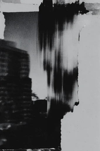 Stark Analog Noise style reference image — high-contrast monochrome