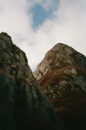 Intimate Cinematic Realism style reference image — 35mm film grain