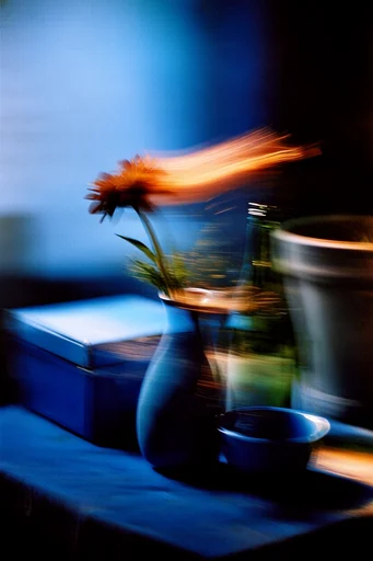 Kinetic Nocturnal Impressionism style reference image — analog film grain