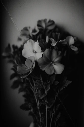 Ghostly Chiaroscuro Noir style reference image — cinematic noir portraiture