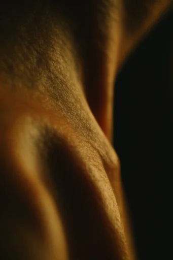 Cinematic Macro Realism style reference image — hyper-realistic skin texture