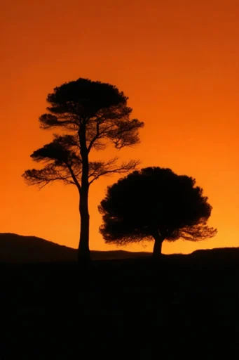 Cinematic Amber Silhouette style AI image example 2
