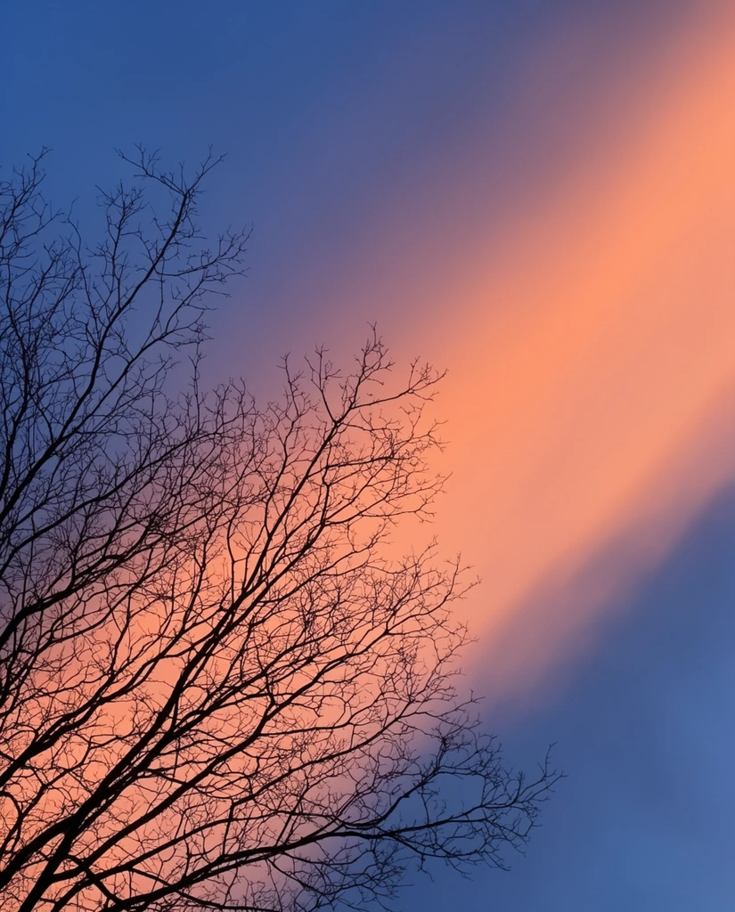 Silhouetted bare tree branches stretch diagonally across a vividly colored twilight sky. The intricate, dark fractal network of winter twigs emerges from the bottom left, reaching toward the center. Behind this sharp silhouette, the sky is split by a sweeping diagonal band of glowing peach, salmon, and warm orange light. This luminous stripe contrasts intensely with the deep, cool twilight blue filling the upper left and bottom right corners. The low-angle perspective highlights the dramatic complementary color palette and creates a stark visual separation between the delicate black branches and the soft, atmospheric gradient.