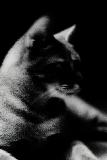 Submerged Noir Grain style reference image — motion blur