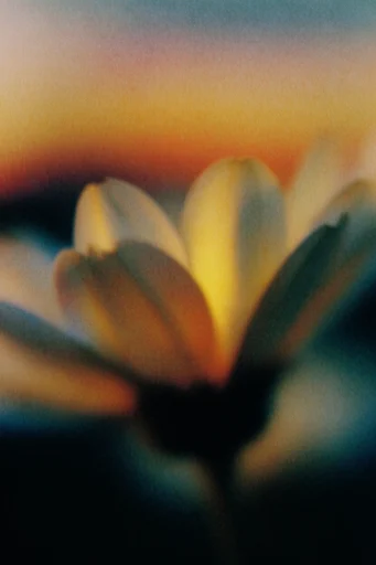 Spectral Analog Blur style reference image — dreamlike haze