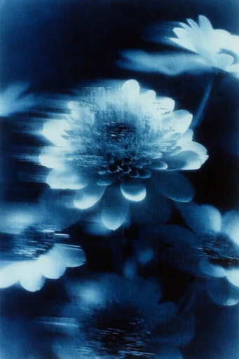 Luminescent Spectral Noir style reference image — nocturnal noir atmosphere