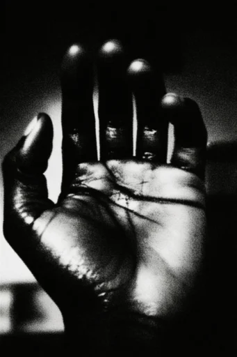 Gritty Cinematic Monochrome style reference image — stark silhouette