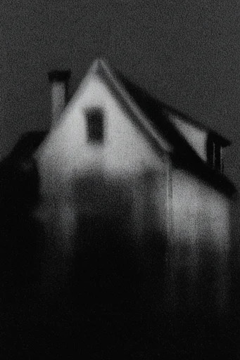 Gritty Monochrome Noir style reference image — gritty texture