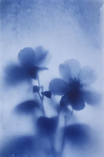 Ethereal Cyanotype Haze style reference image — stippled texture