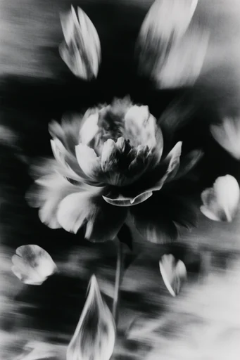 Spectral Kinetic Noir style reference image — lo-fi analog texture
