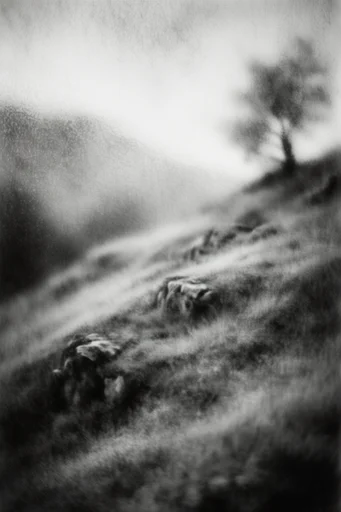 Ethereal Monochrome Noir style AI image example 2