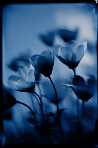 Spectral Indigo Cyanotype style reference image — degraded film texture