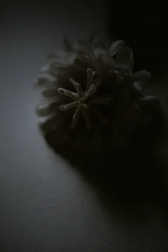 Cinematic Noir Grain style reference image — spectral portrait