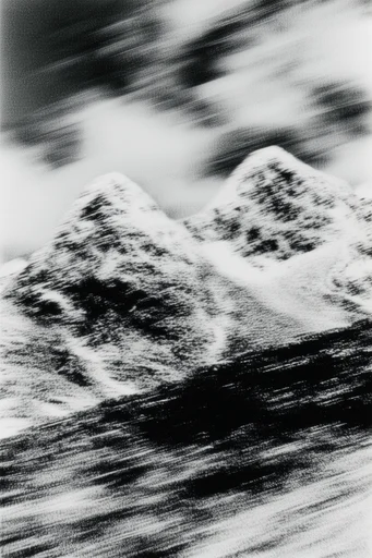 Kinetic Monochrome Noir style reference image — high contrast black and white