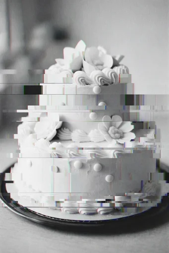 Monochrome Glitch Archive style reference image — fragmented digital decay
