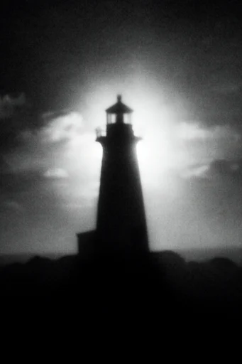 Nocturnal Monochrome Minimalist style reference image — atmospheric fog