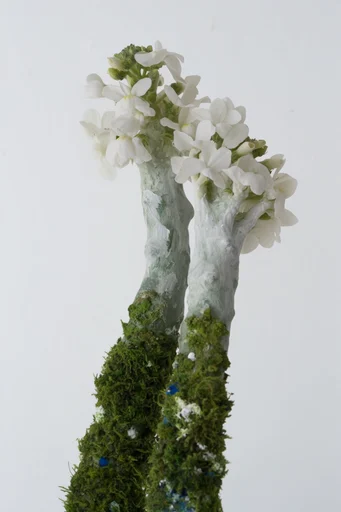 Tactile Surrealist Minimalism style reference image — physical medium intervention