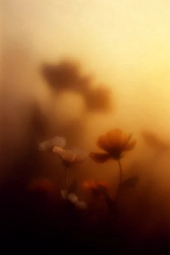 Ethereal Amber Pictorialism style reference image — textured film grain