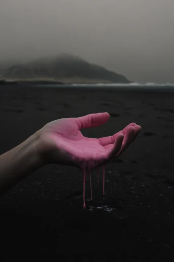 Surreal Neon Melancholy style reference image — desaturated moody landscape