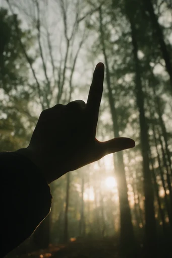 Melancholic Forest Solitude style reference image — muted earthy and cool tones