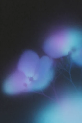 Ethereal Nocturnal Minimalism style reference image — tactile texture