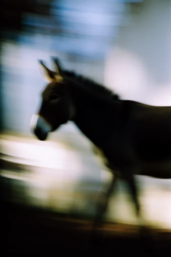 Kinetic Luminous Blur style reference image — kinetic motion blur