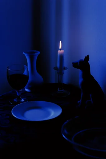Nocturnal Cobalt Silhouette style reference image — stark silhouette