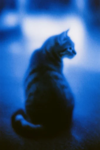 Nocturnal Azure Haze style reference image — nocturnal atmospheric haze