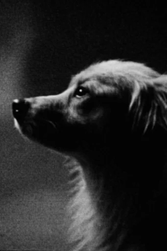 Spectral Kinetic Noir style reference image — surreal long exposure