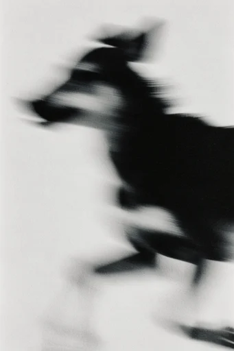 Ethereal Kinetic Monochrome style reference image — heavy film grain