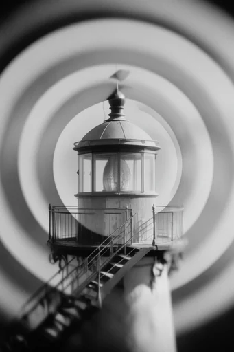 Deconstructed Monochrome Surrealism style reference image — radial slicing