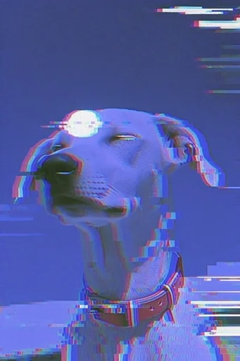 Corrupted Analog Nostalgia style reference image — liminal aesthetic