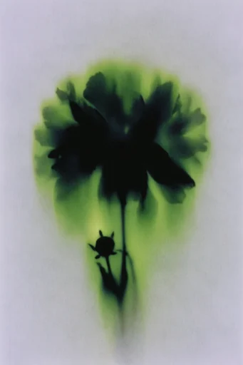 Radioactive Noir Surrealism style reference image — gritty stencil texture