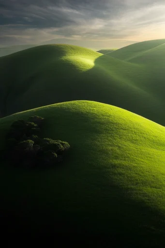 Velvet Verdant Surrealism style reference image — high-angle nature photography