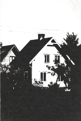Raw Post-Punk Minimalism style AI image example 4