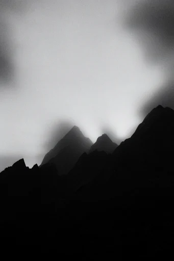 Nocturnal Monochrome Minimalist style reference image — high-contrast black and white