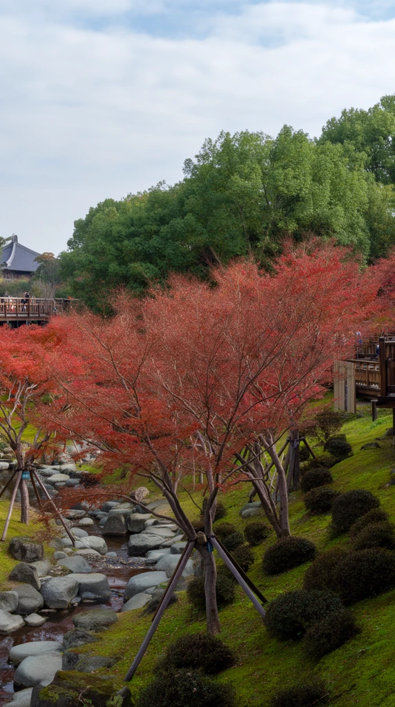 A panoramic view of a serene landscape garden in autumn, featuring a stone-lined stream and vibrant red trees. Delicate trees with rust-red and crimson foliage dominate the midground, their trunks supported by angled wooden poles. A shallow stream winds through smooth grey boulders, bordered by bright green moss and dark rounded shrubs on a sloping right bank. Dense green evergreens form a lush backdrop against a soft cloudy sky. The far edges reveal wooden observation decks with railings and subtle figures framing the scene. In the distant left, a sweeping dark tiled roof of a traditional building peeks through the foliage. Diffused daylight highlights the striking seasonal contrast between the fiery autumn canopy and emerald ground cover, captured with a deep depth of field.