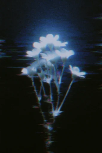 Nocturnal Glitch Noir style reference image — VHS tracking distortion