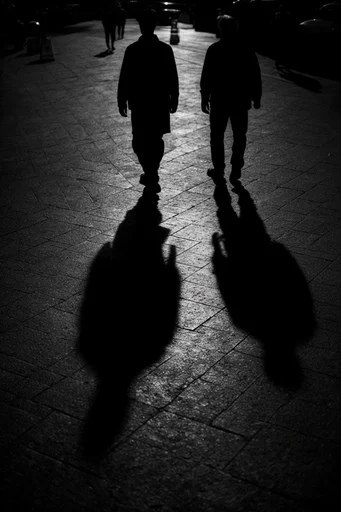 Monochrome Glitch Noir style reference image — high-contrast monochrome