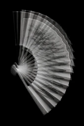 Monochromatic Kinetic Surrealism style reference image — chiaroscuro lighting