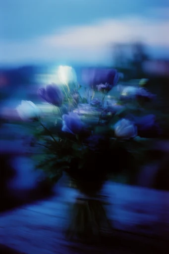 Cinematic Nocturnal Blur style reference image — saturated cool tones