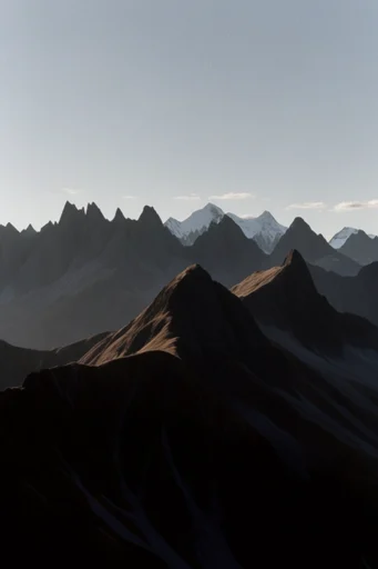 Monochromatic Sculptural Silhouette style reference image — high-contrast silhouette