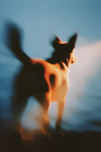 Luminescent Nocturnal Dreamcore style reference image — thermal luminescence