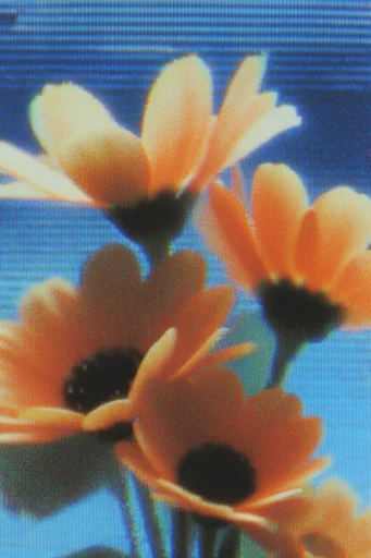Analog Glitch Nostalgia style reference image — warm orange and cyan grading