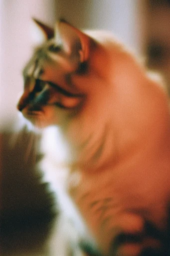 Ethereal Nostalgic Haze style reference image — nostalgic color grading
