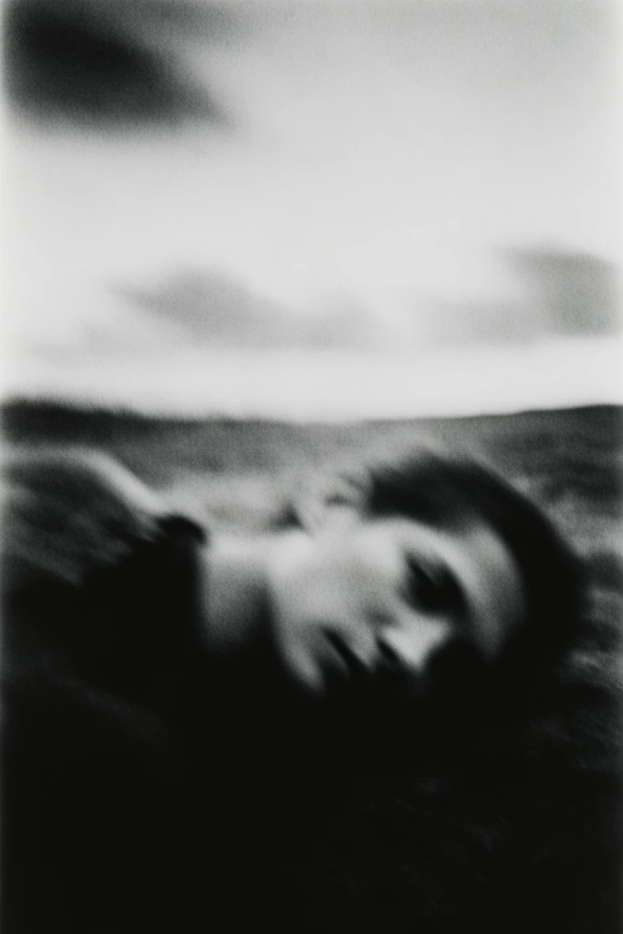 Ethereal Grain Monochrome style AI image example 2