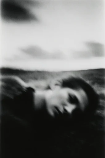 Ethereal Grain Monochrome style AI image example 2