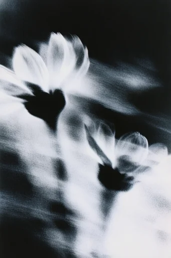 Kinetic Spectral Noir style reference image — psychological intensity