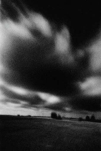 Gritty Monochrome Analog style AI image example 2